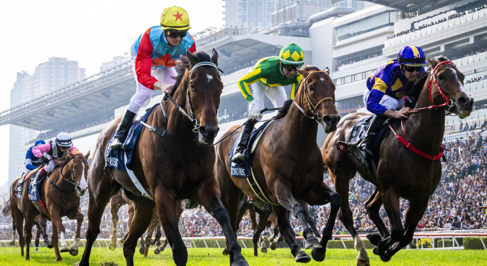 How Genetics Influence Racing Longevity