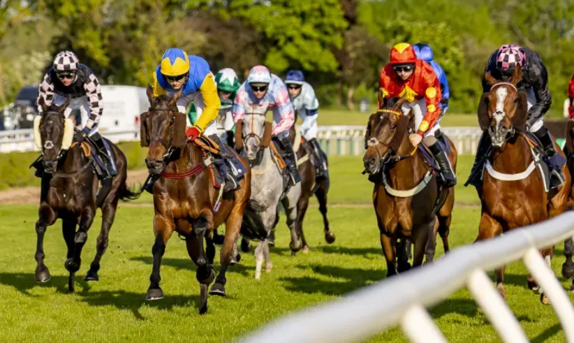 How Farriers Work With Trainers